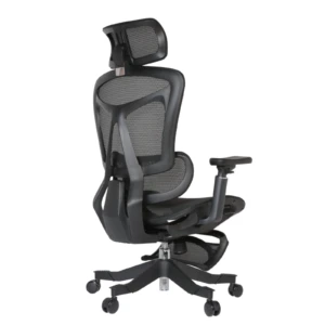 Summit Ergonomic Mesh Chair