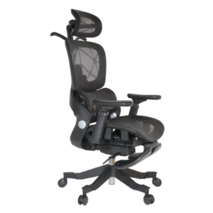 Zenith IMG_0014_2 Zenith Ergonomic Mesh Chair