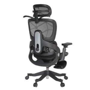 Zenith IMG_0015_1 Zenith Ergonomic Mesh Chair