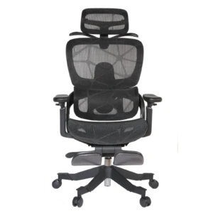 Zenith IMG_0017_1 Zenith Ergonomic Mesh Chair