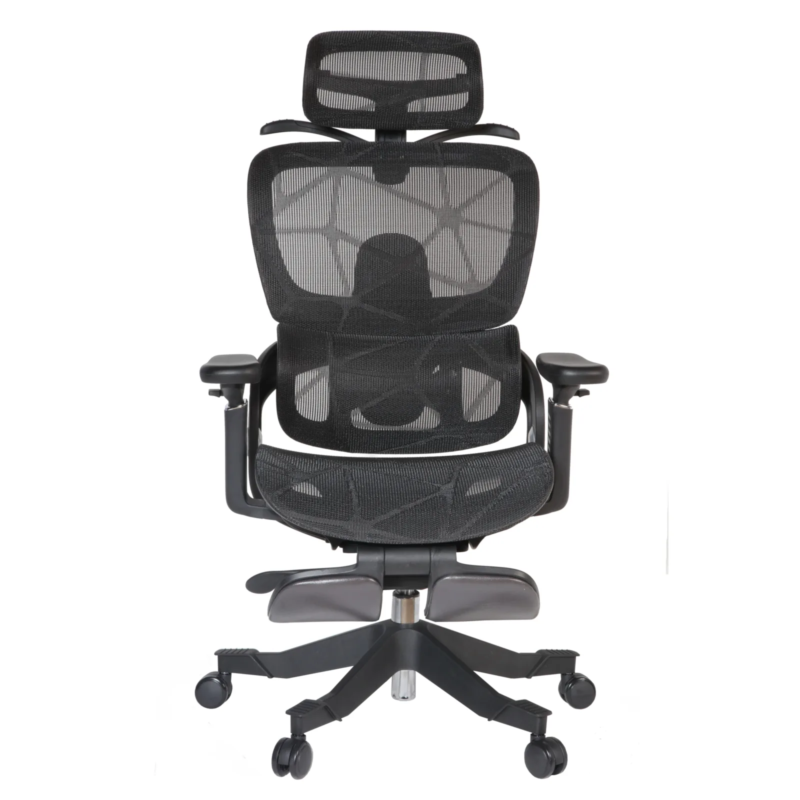 Zenith IMG_0017_1 Zenith Ergonomic Mesh Chair