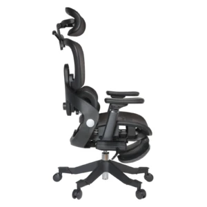 Zenith IMG_0018_1 Zenith Ergonomic Mesh Chair