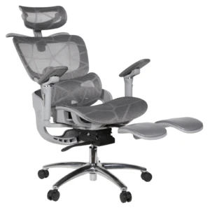 Zenith IMG_62IMG_0047 Zenith Ergonomic Mesh Chair