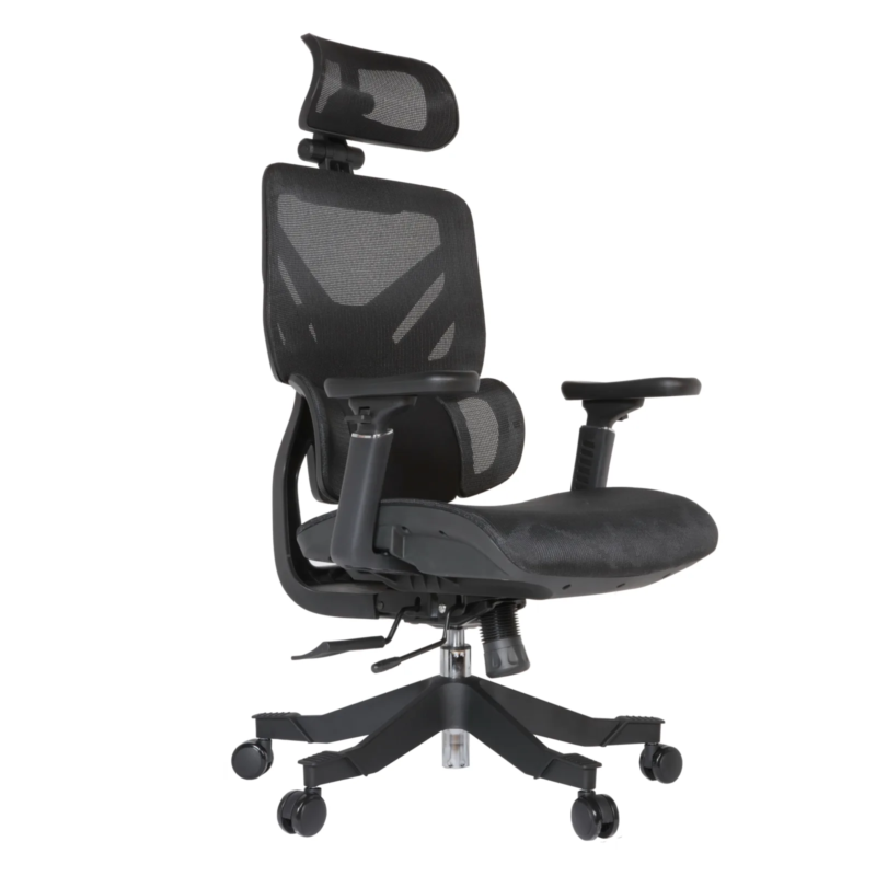 Cuda Professional Chair