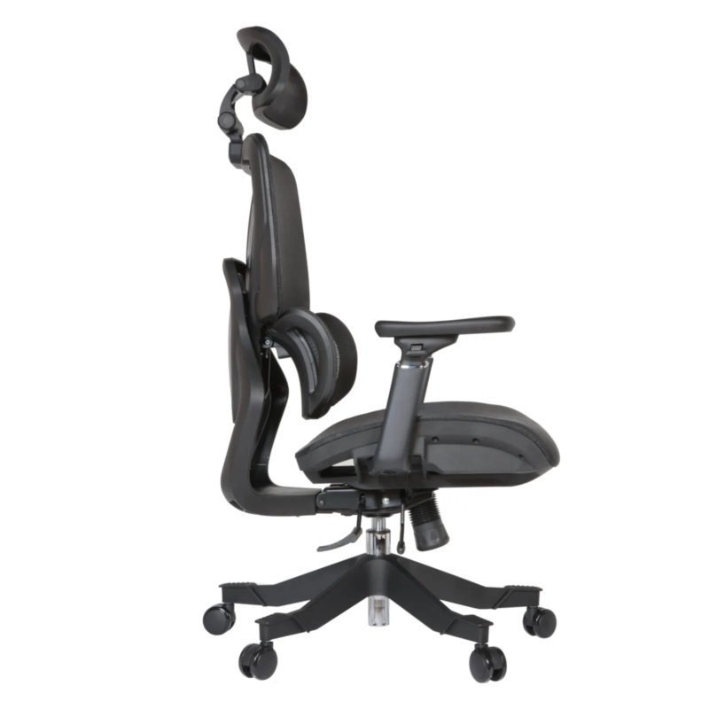 Cuda Professional Chair