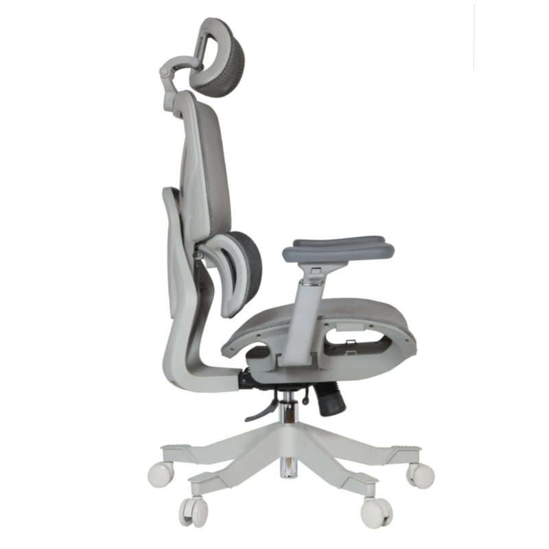 Cuda Professional Chair