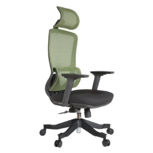 Morita IMG_0002_5 Morita Executive Chair
