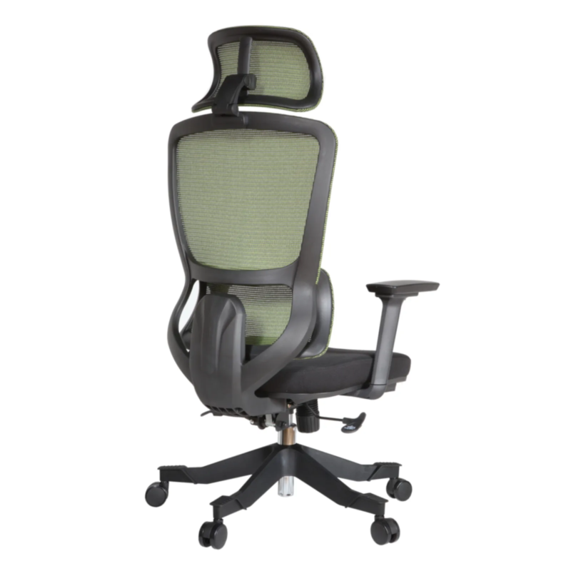 Morita IMG_0003 Morita Executive Chair