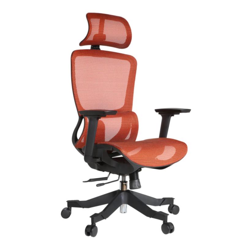 Morita IMG_0007 Morita Executive Chair
