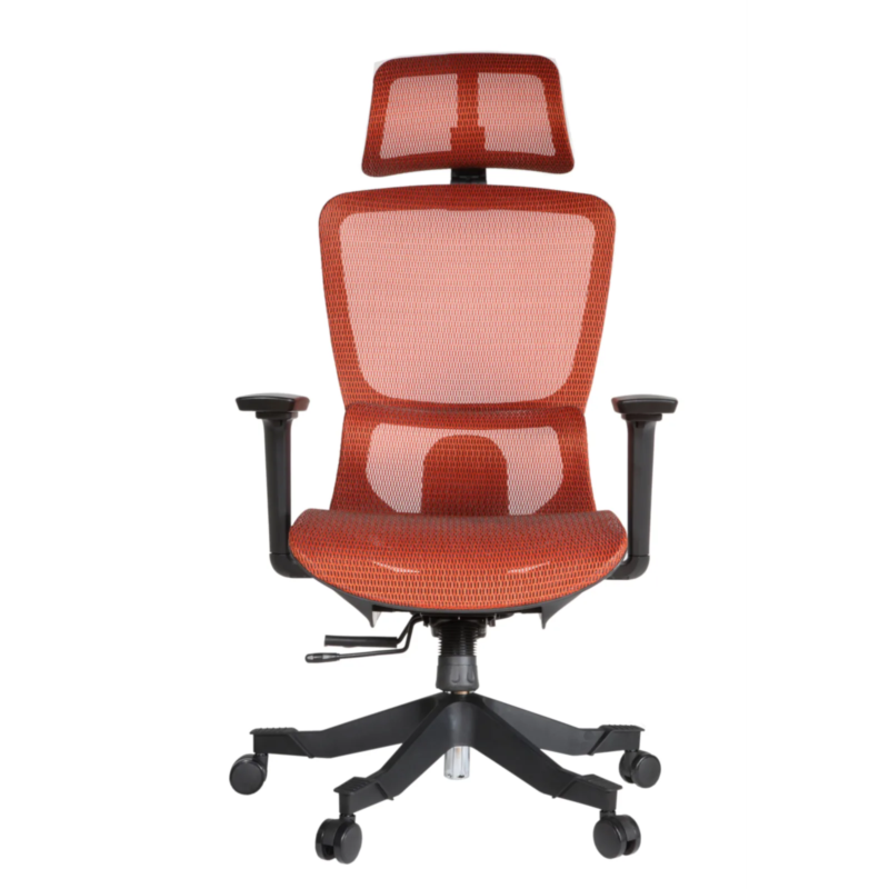 Morita IMG_0010 Morita Executive Chair