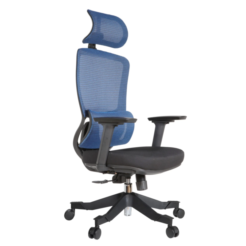 Morita IMG_0012_1 Morita Executive Chair