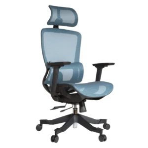 Morita IMG_0017 Morita Executive Chair