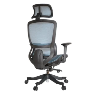 Morita IMG_0018 Morita Executive Chair